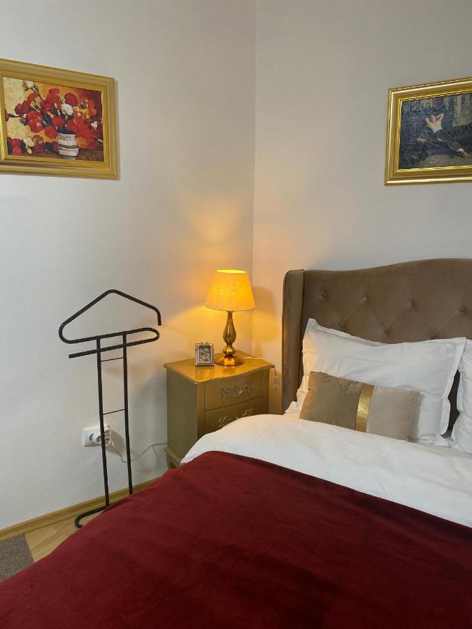 Studio Panoramic With Balcony And Parcul Unirii View Alba Iulia Bagian luar foto