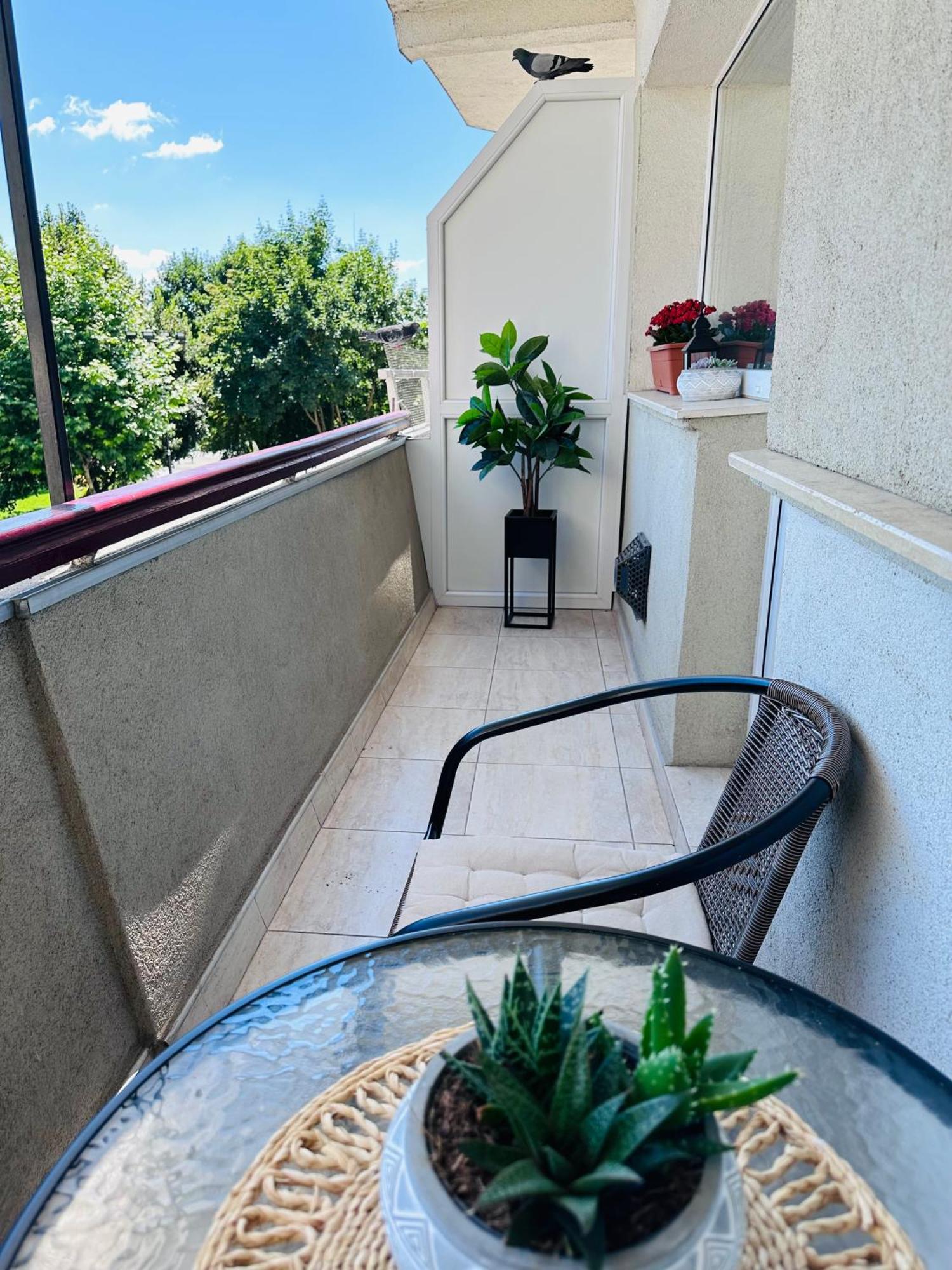 Studio Panoramic With Balcony And Parcul Unirii View Alba Iulia Bagian luar foto